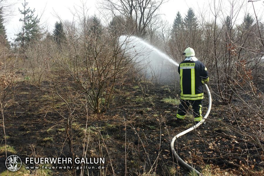 Einsatz 14-2015